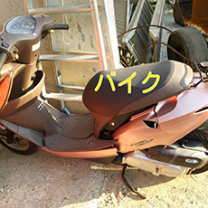 ここに文章がはいります。