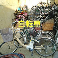 ここに文章がはいります。